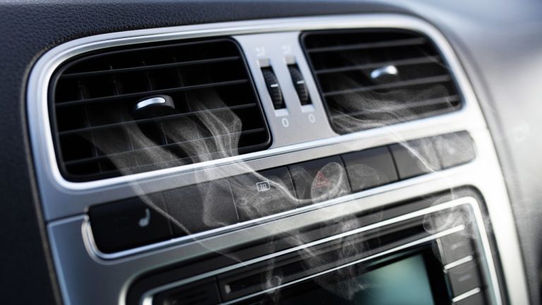 Car mould removal Australia